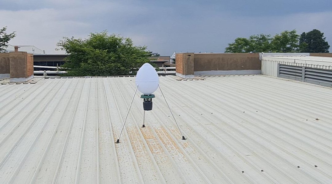 Bird control for the hospitality industry: Protecting guests, reputation, and compliance