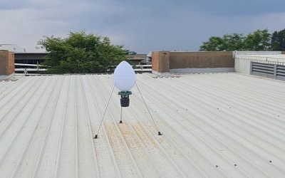 Bird control for the hospitality industry: Protecting guests, reputation, and compliance